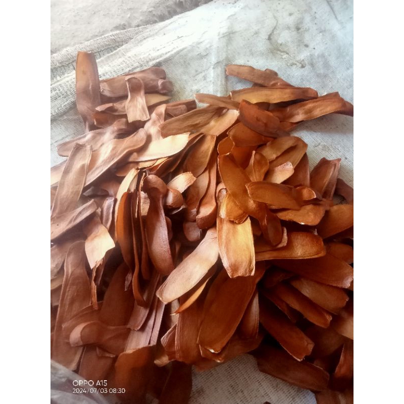 

biji mahoni kering 100 gram