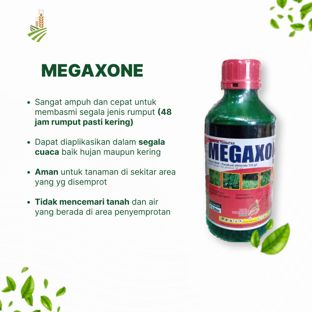 Pembasmi Rumput Megaxone | Ampuh dalam 48 jam - 1 Liter