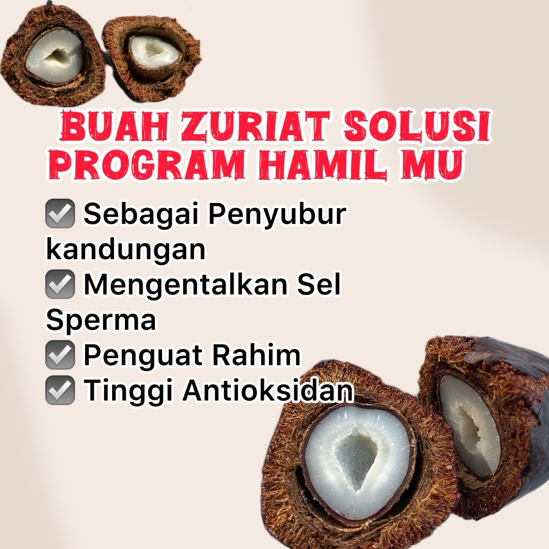 

Buah Zuriat