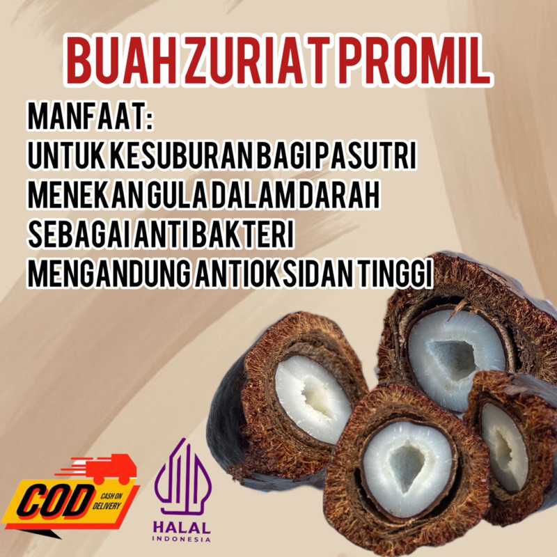 

Buah Zuriat PREMIUM PROMIL 1kg