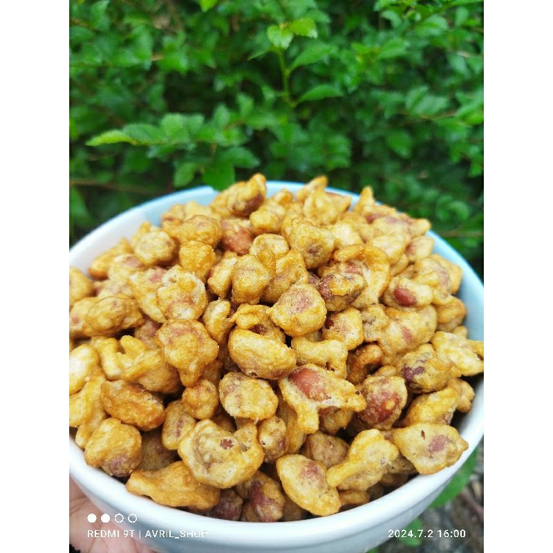 

kacang bandung/kacang telur medan/kacang bandung kriwil