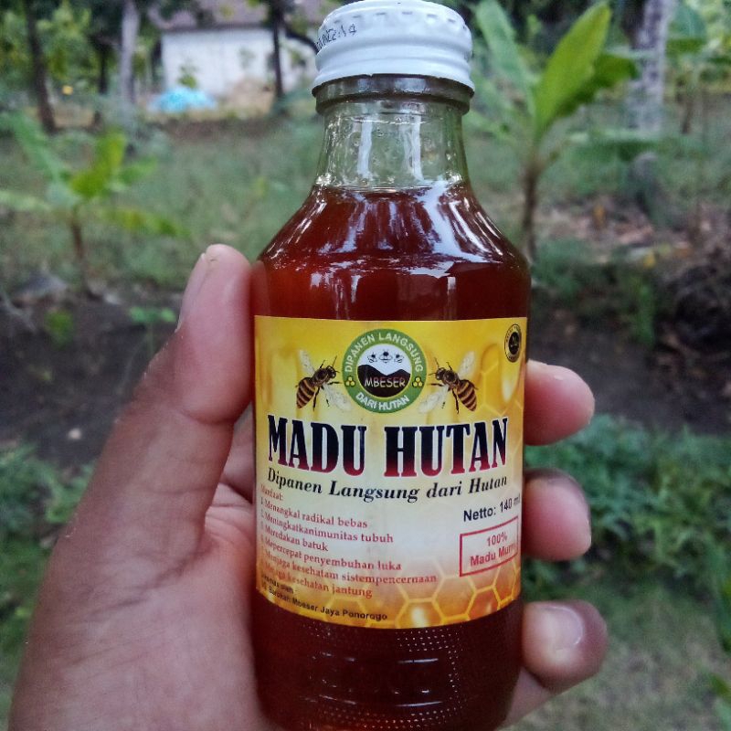 

Madu Murni Bergaransi madu Hutan lebah liar