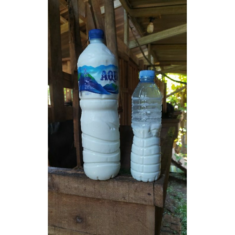 

SUSU KAMBING ETAWA 100% MURNI/ASLI.
