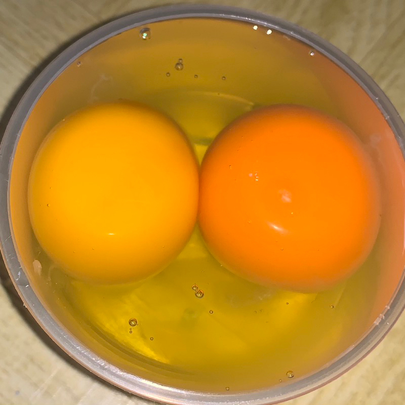 

telur ayam omega butiran