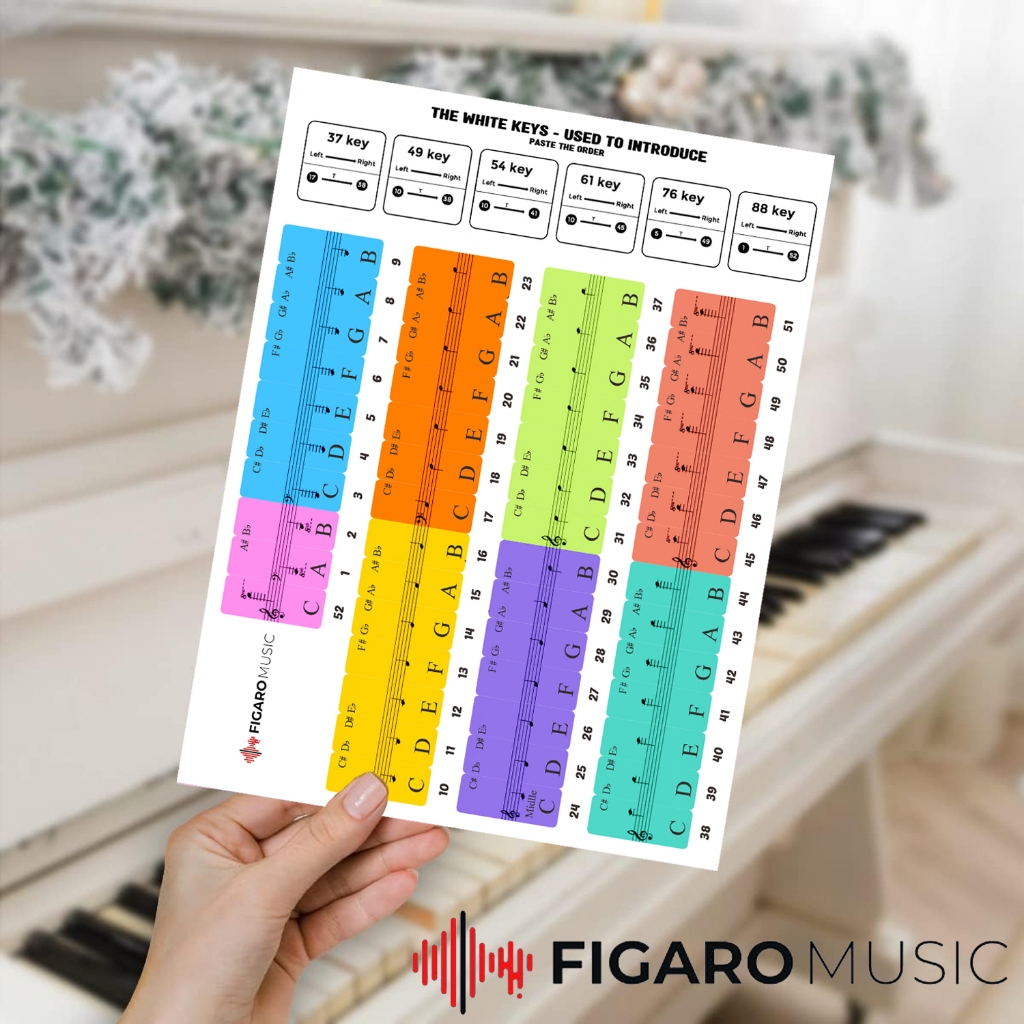 

Stiker Piano Colorful Piano Stickers Keyboard 88 61 54 49 44 37 Key Large for Learning Kid Piano Notes Labels Piano Chart Color