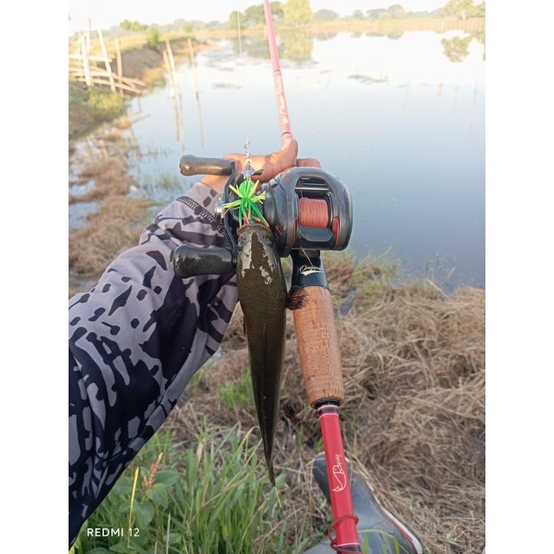 Reel BC Daiwa Tatula kondisi second pernah dipakai