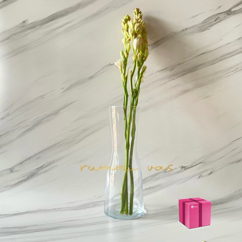 [ EKSPEDISI ] Vas Bunga Sedap Malam Vas Kaca Tinggi 30cm Murah Elegant Mewah Vas Bunga Kaca Estetik 