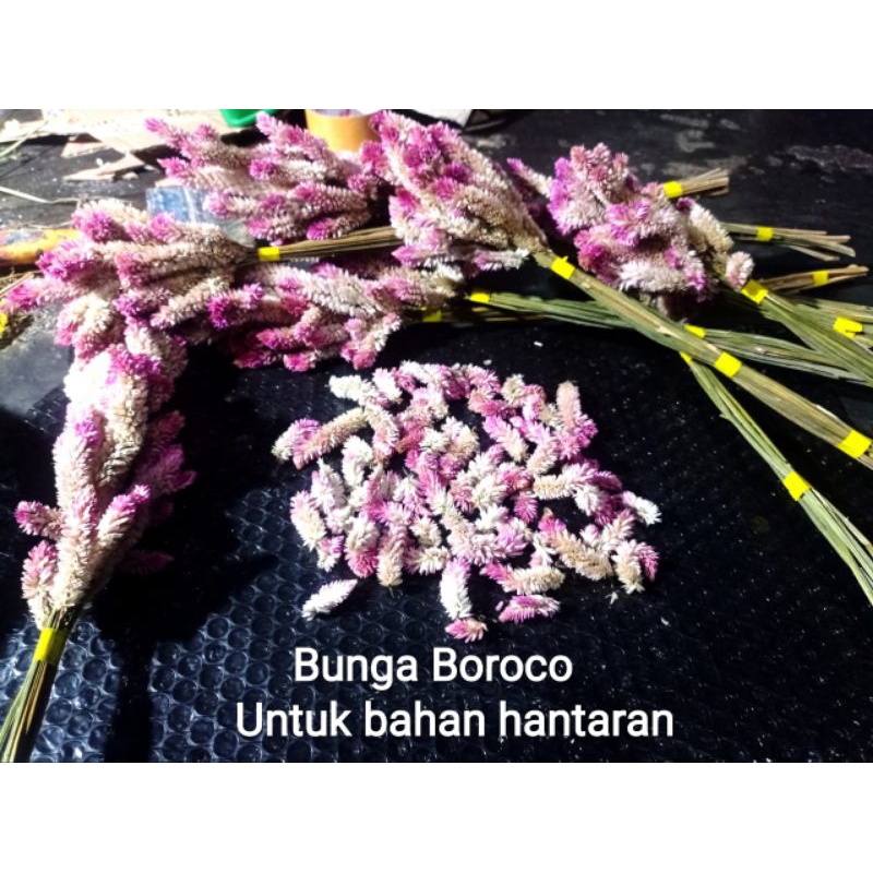 bunga buroco / hiasan vas / dekorasi / hantaran