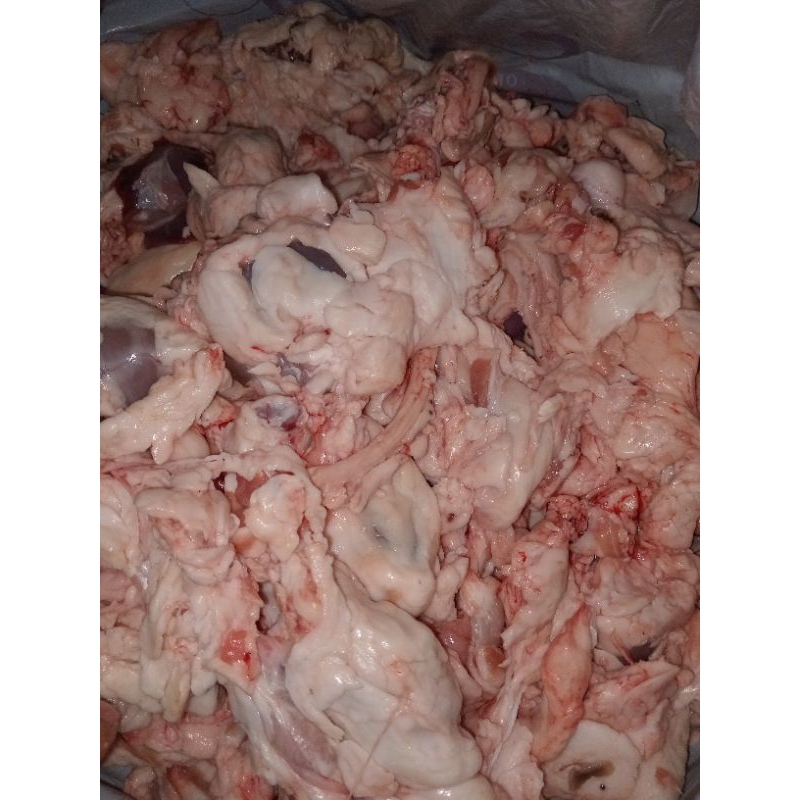 

Gajih Kambing muda segar 1kilo cocok untuk isi cilok, isi baso, sop, minyak kambing dll