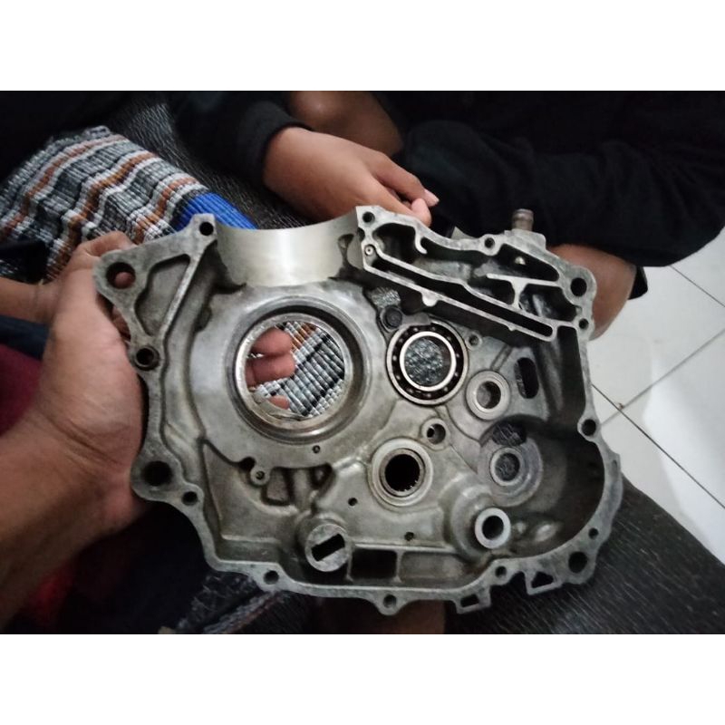 krengkes tiger revo 2013 palat D