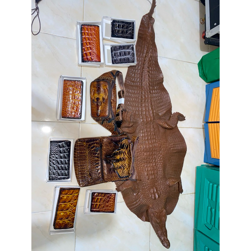 DOMPET KULIT BUAYA ASLI MERAUKE PAPUA