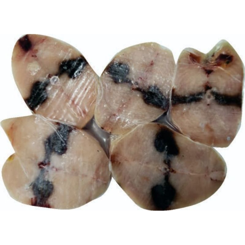 

cakalang steak