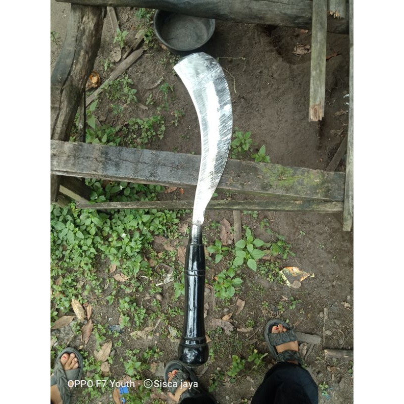 pisau dapur  pisau potong