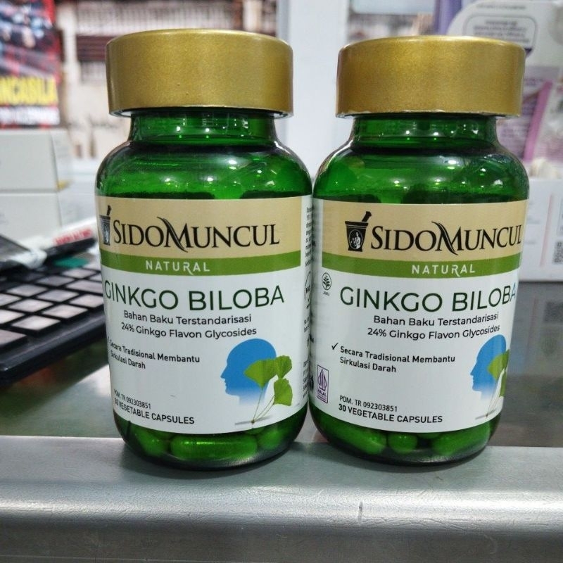 GINKGO BILOBA SIDOMUNCUL