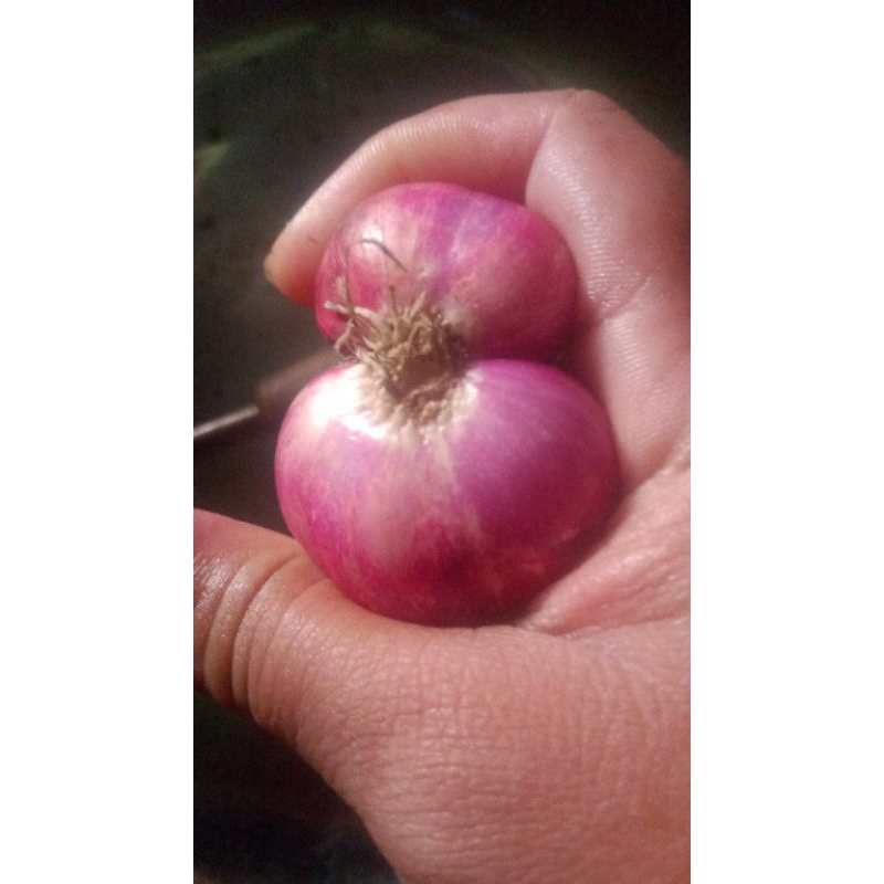 

Bawang merah super ½ kg
