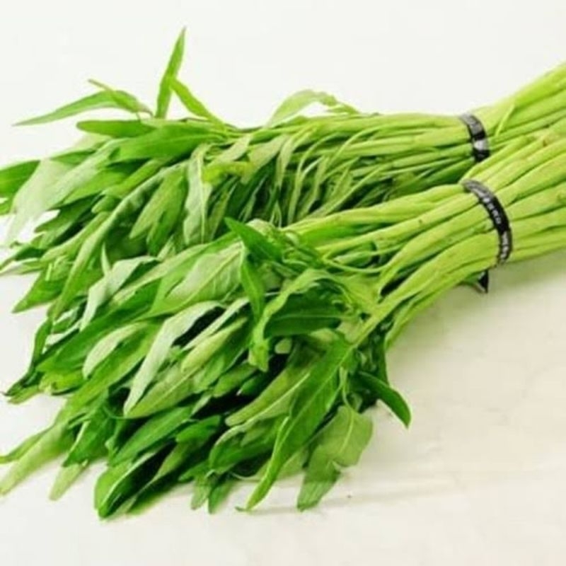 

Kangkung