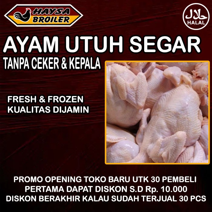 

Ayam Karkas Ayam Utuh 1 Ekor