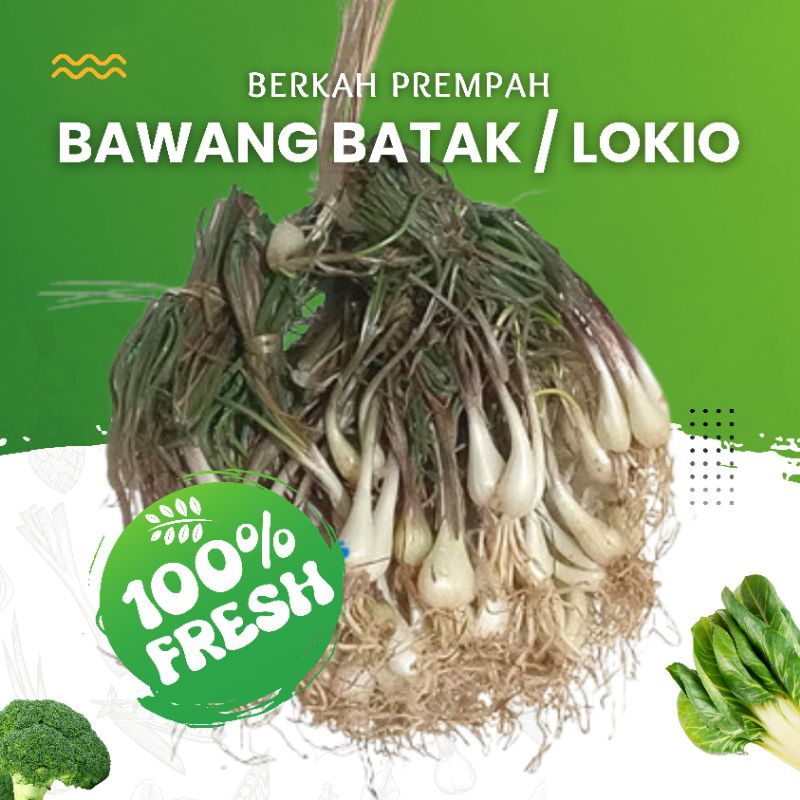 

Bawang batak medan / lokio segar 5ikat
