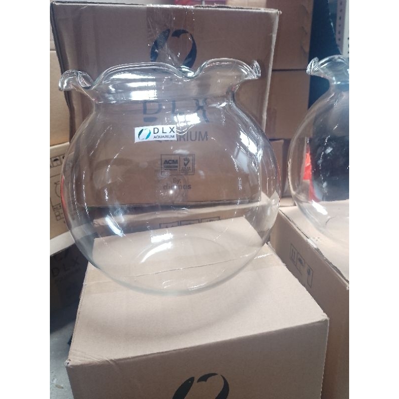 aquarium bulat aquarium bulat cantik