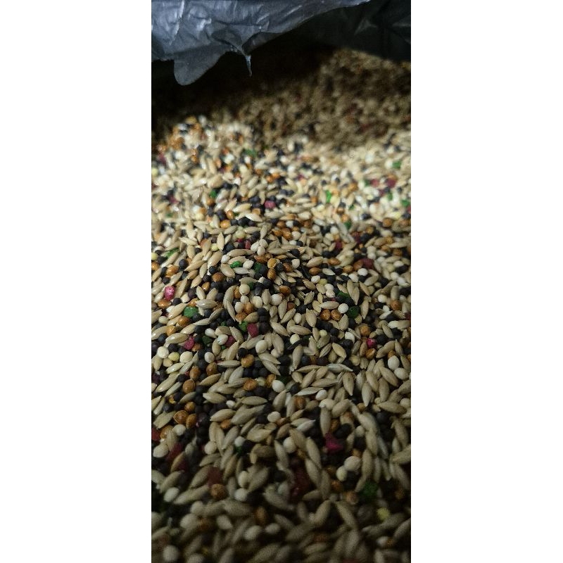 PAKAN BURUNG CANARY KENARI BELGIE PREMIUM 1 KG