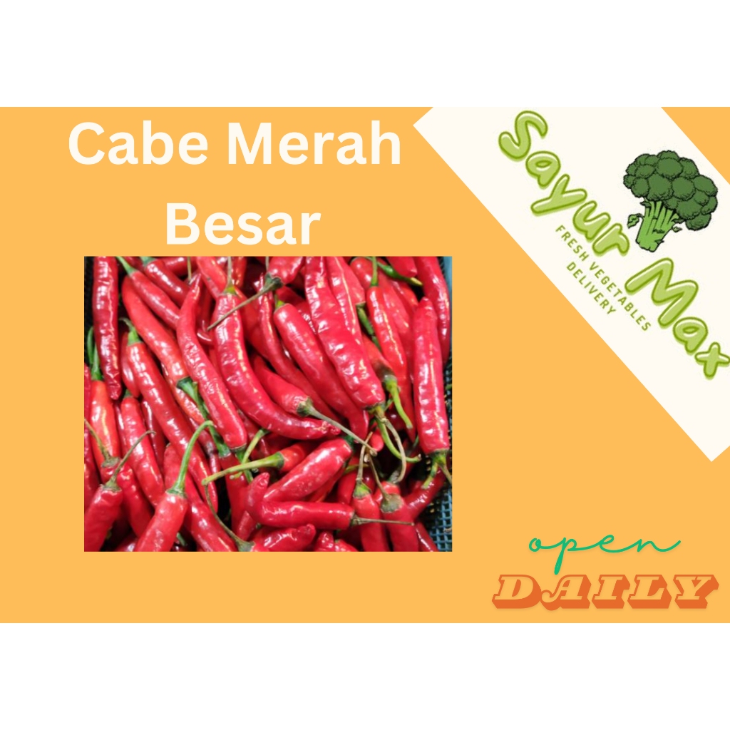 

Cabe Merah Keriting,Rawit,&Besar