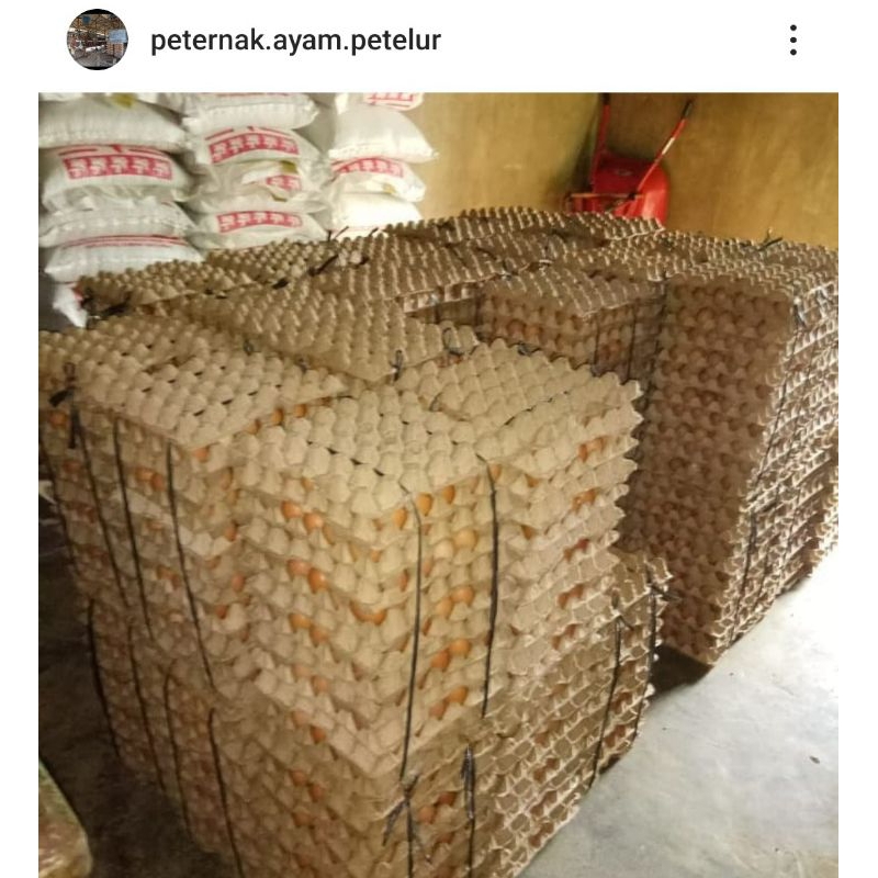 

telur ayam 1 ikat ( 10papan/300 butir ) berat 17.5kg garansi fresh langsung dari kandang sendiri