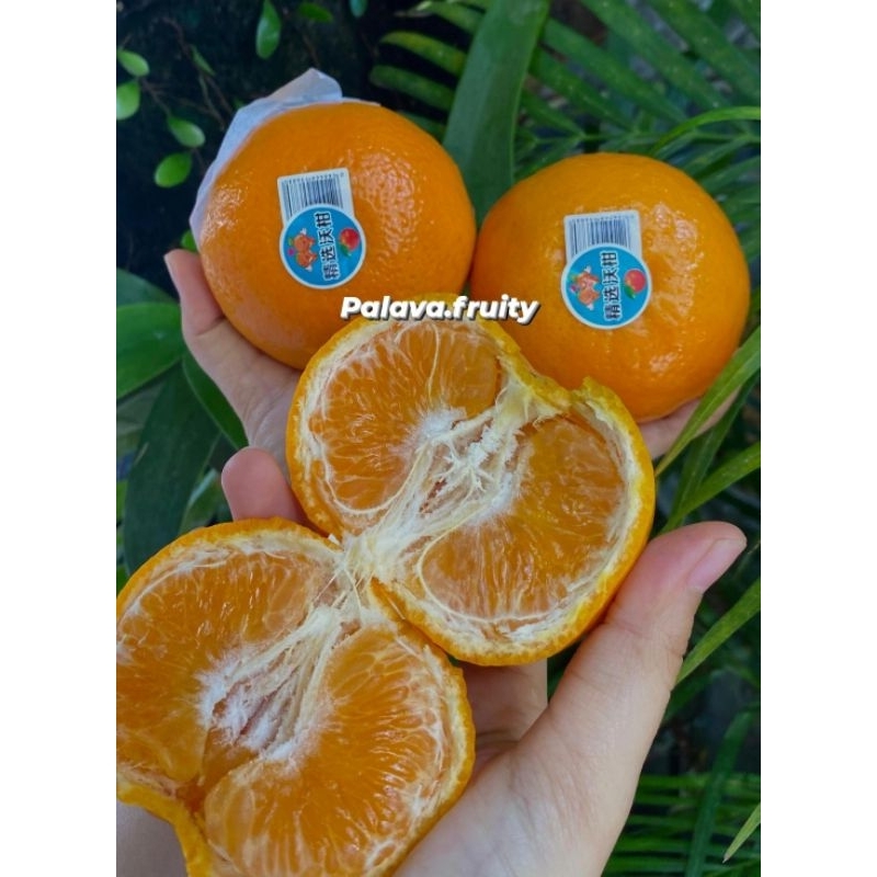 

JERUK WOGAN PARADISE