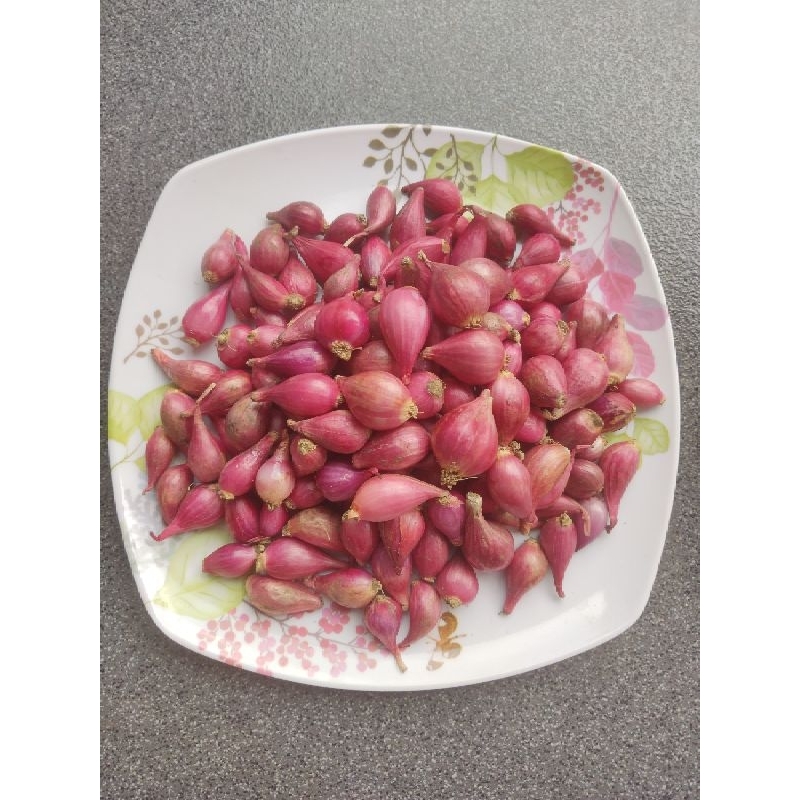 

Bawang Merah Brebes Cilikan 500 gr