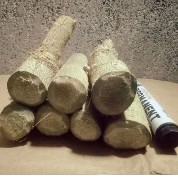 1 kg stek sancang batang besar