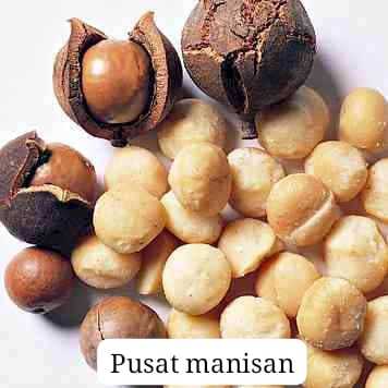 

Roasted Macadamia Nut 250 Grams FREE ALAT PEMBUKANYA TERLARIS