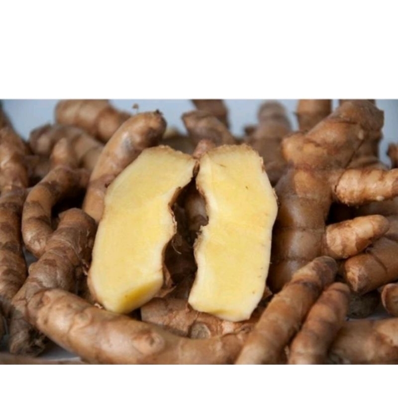 

kunyit putih laki/kunir putih 1kg