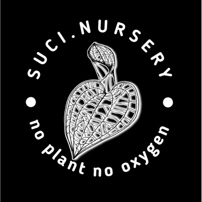 LINK CO ANTHURIUM 200.000-1.000.000