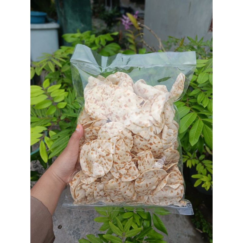 

KERIPIK TEMPE 500GRM