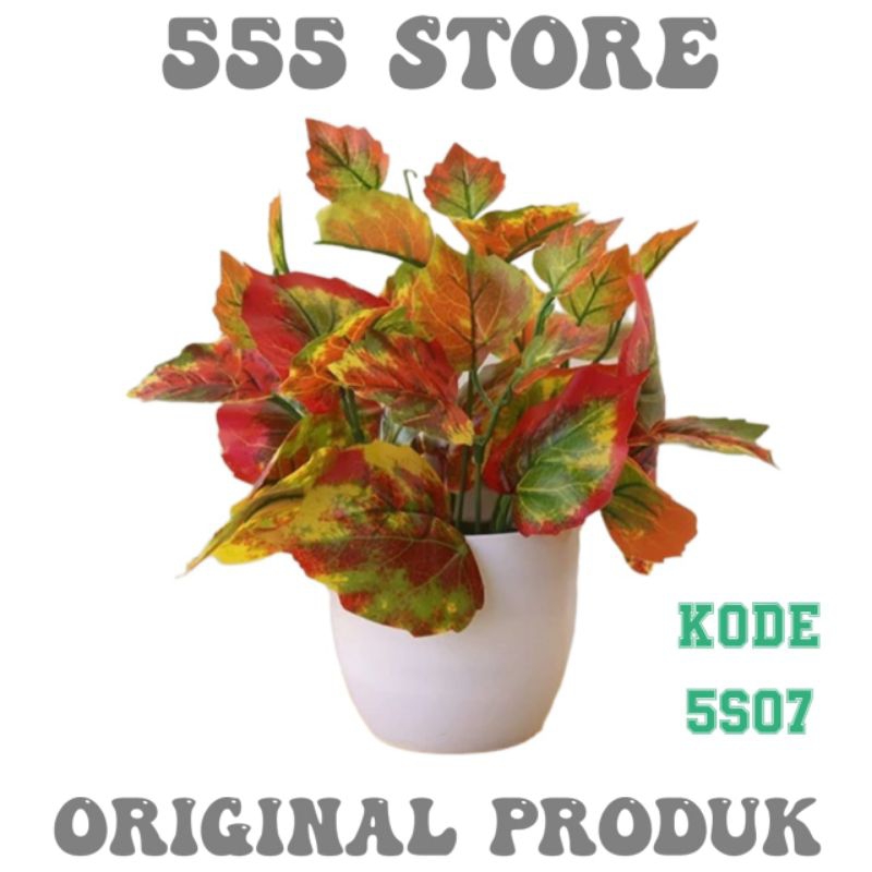 Tanaman Hias Bunga Hias 5S06 Sampai 5S07 Original