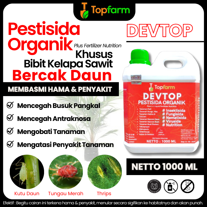 Obat Hama Bibit Sawit Daun Kering / Obat Hama Bibit Sawit / Obat Bercak Daun Pada Bibit Sawit / Obat