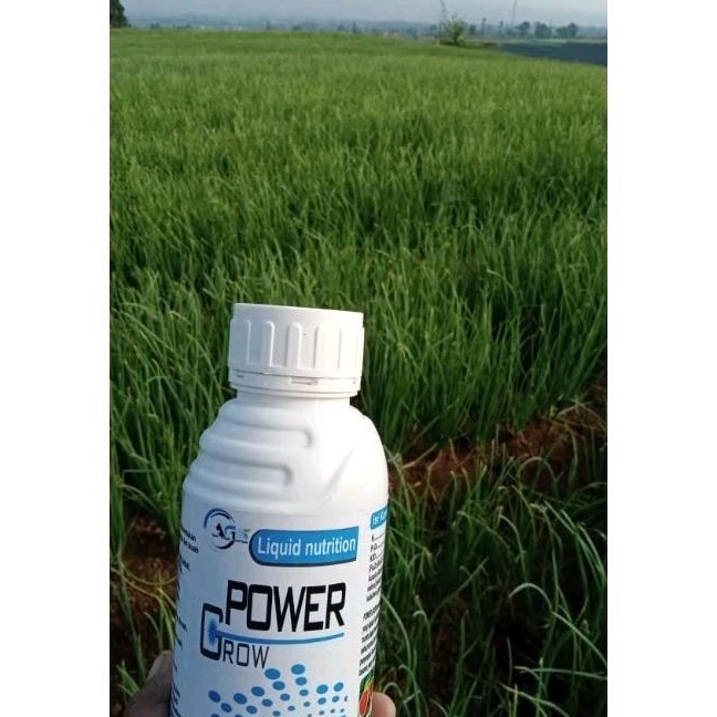 Limit pupuk cair power grow 5ml
