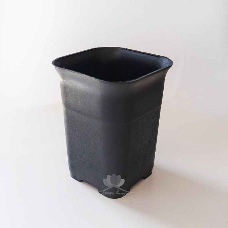 POT NKT - 12 KOTAK HITAM UKURAN 12 CM