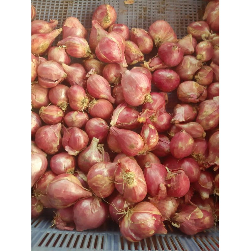

Bawang Merah 500gr