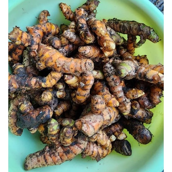 

kunyit segar / kunir 1kg, dan 500gr