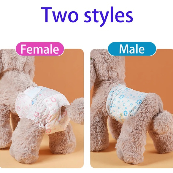 Diapers Anjing Pampers Anjing Popok Anjing Betina Jantan Popok Kucing Diare Pampers Kucing