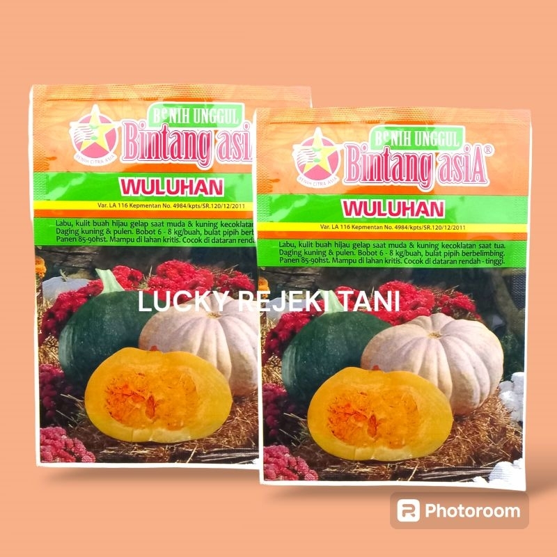 Benih Labu Kuning Wuluhan Bintang Asia 10gram