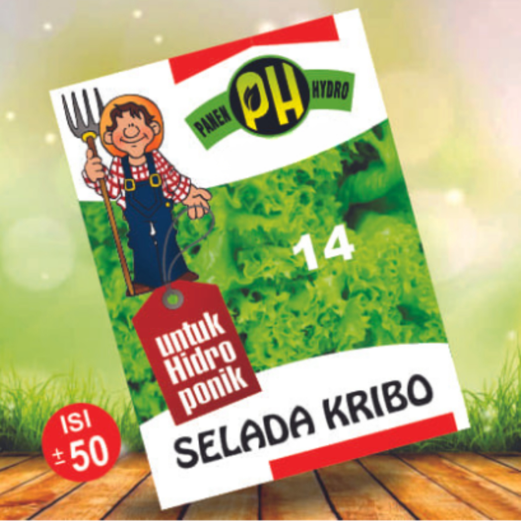 BENIH BIBIT SELADA KRIBO KHUSUS HIDROPONIK