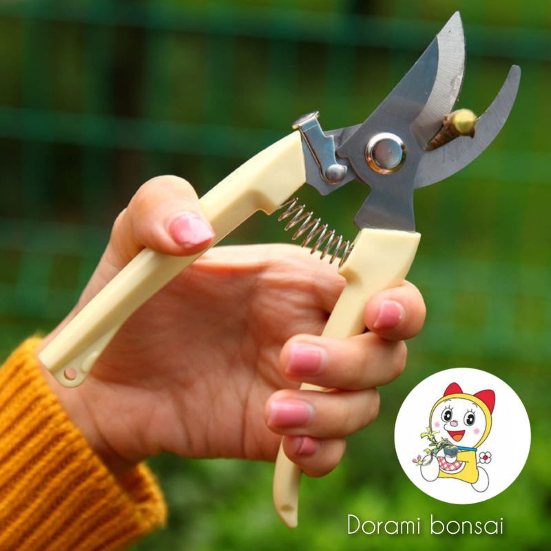 gunting dahan bonsai