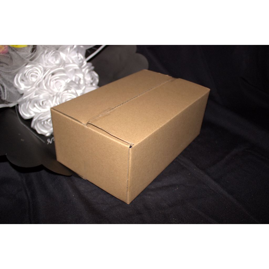 

kardus 25x15x10 cm / box packaging / dus packing / serbaguna