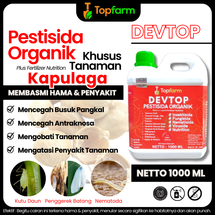 Obat Pelebat Buah Kapulaga / Obat Penyubur Buah Kapulaga / Obat Kapulaga / Obat Semprot Buah Kapulag