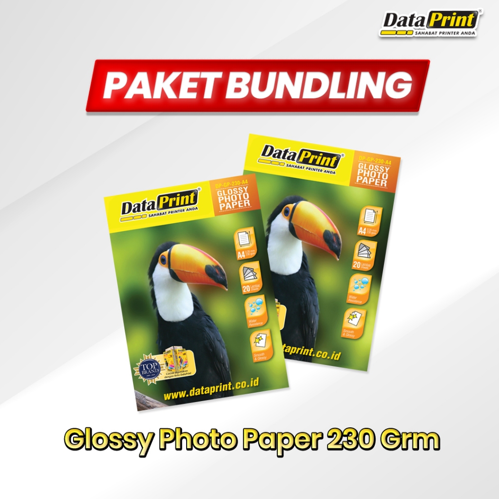 

Beli Bundling Kertas DataPrint Glossy Photo Paper 230 gr A4
