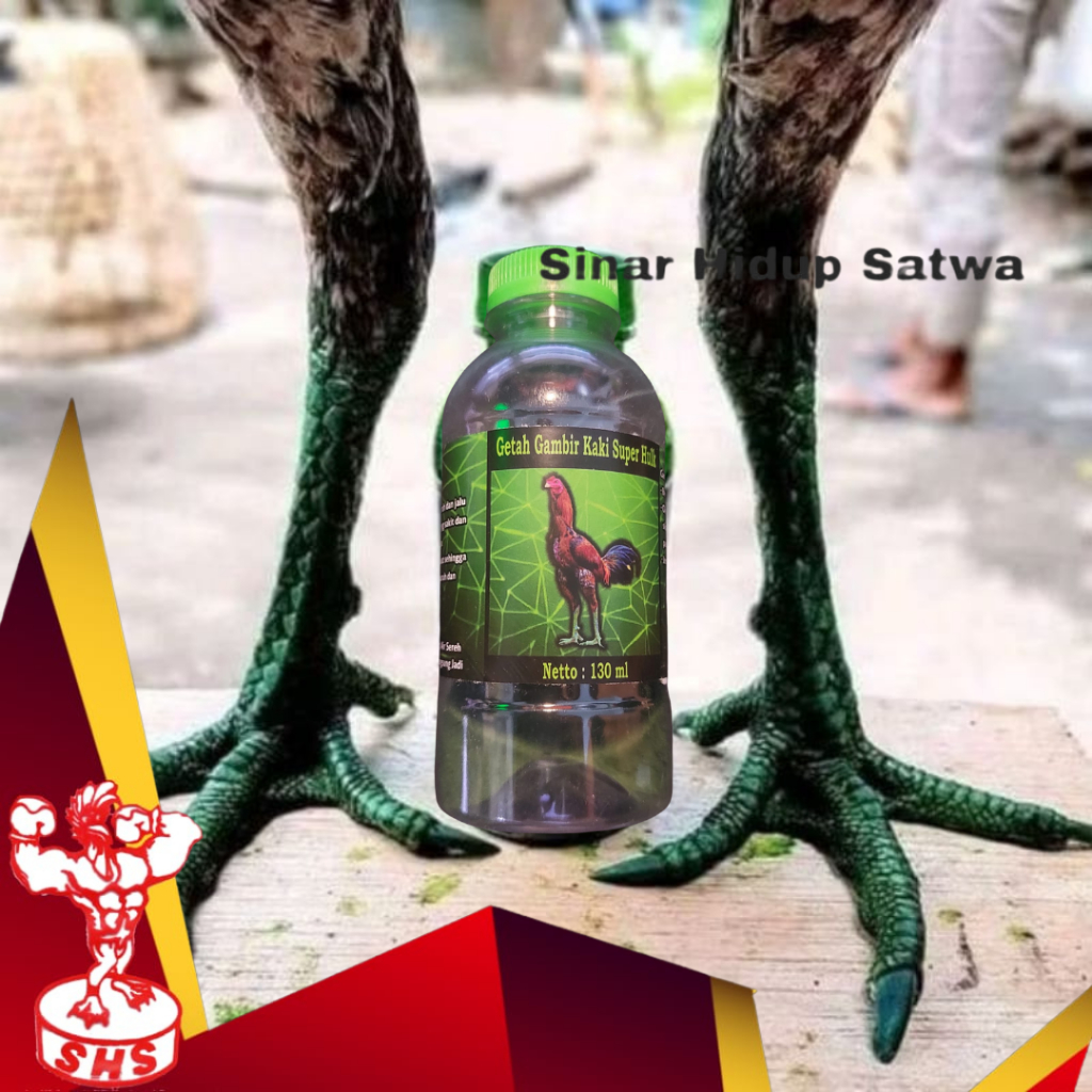 Getah Gambir Super Hijau untuk mengeraskan sisik ayam
