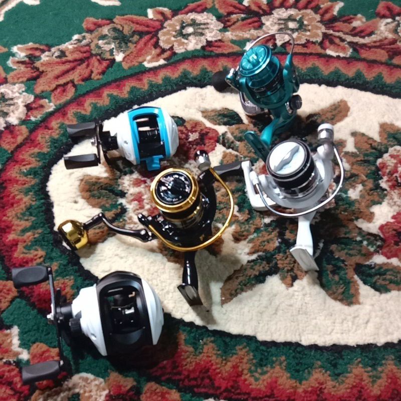 reel spinig zorro dan bc zorro