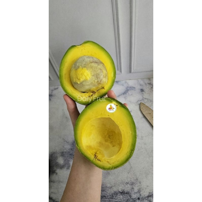 

alpukat mentega lampung timur