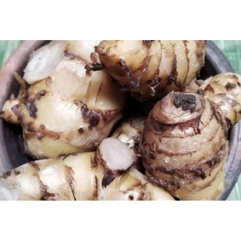 

umbi ganyong putih&merah segar 1kg
